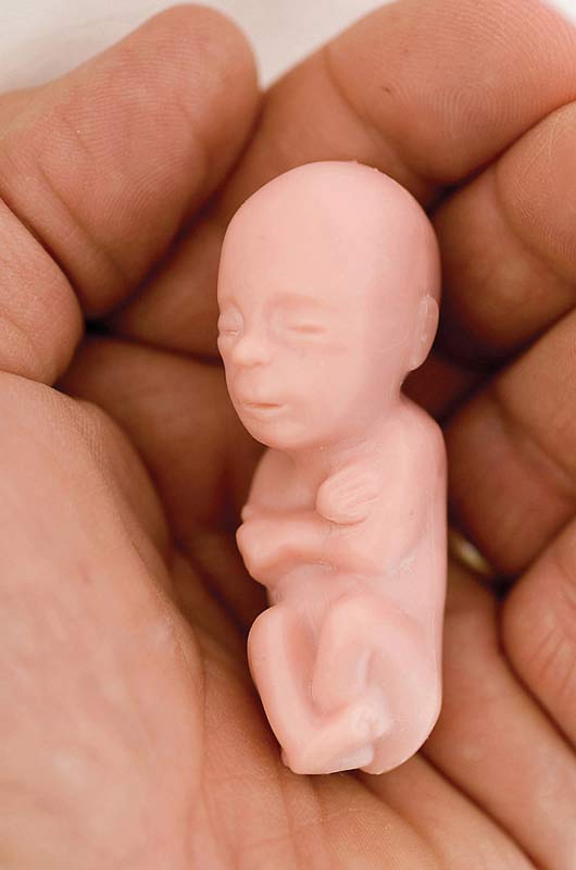 silicone baby in womb