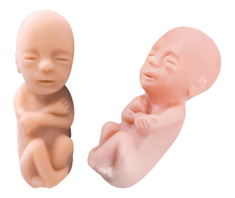 silicone baby in womb
