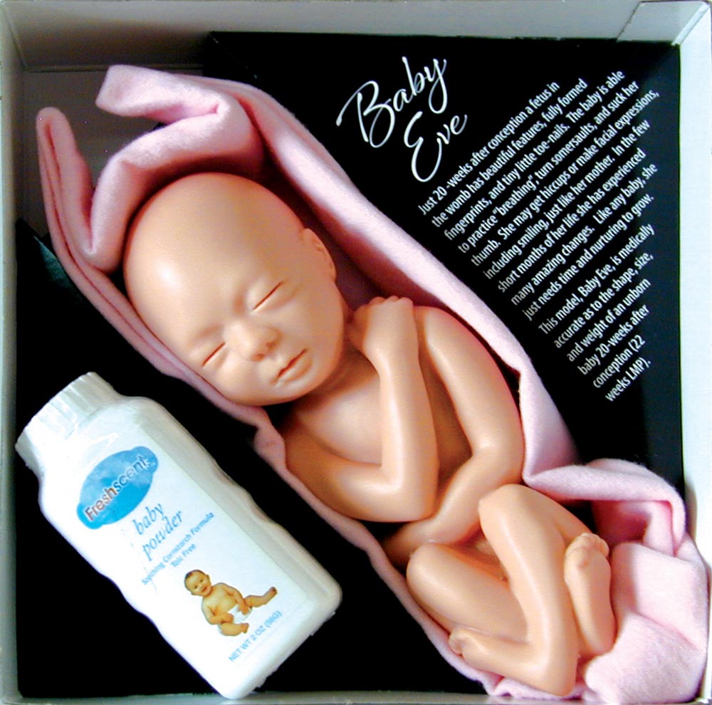 Heritage House '76, Pro-Life Supplies for the Pro-Life Movement