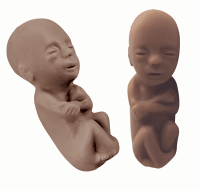 silicone baby in womb