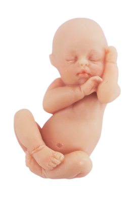 rubber fetus dolls for sale