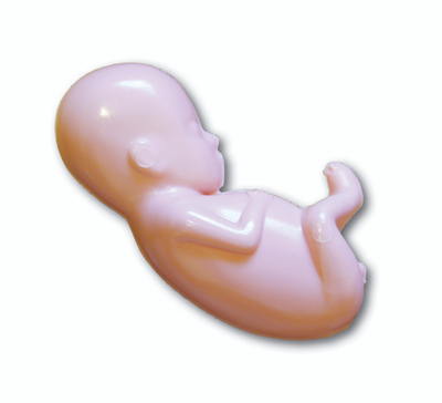 rubber fetus dolls for sale